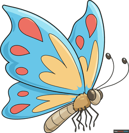 Butterfly